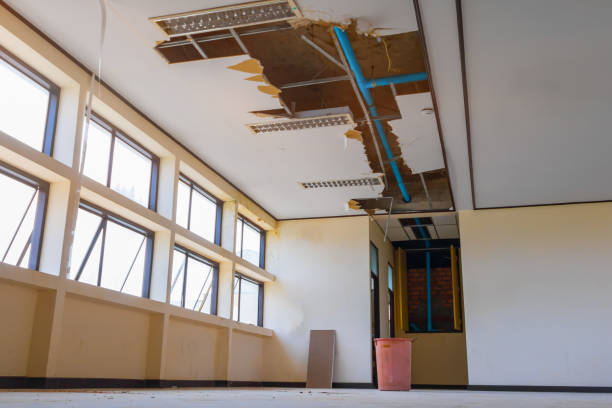 Best Water damage restoration near me  in Golf Manor, OH