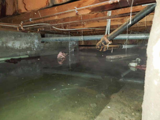 Best Residential water damage restoration  in Golf Manor, OH