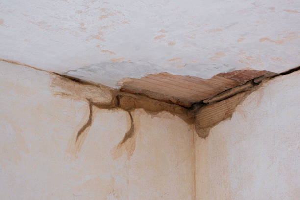 Best Emergency water damage restoration  in Golf Manor, OH