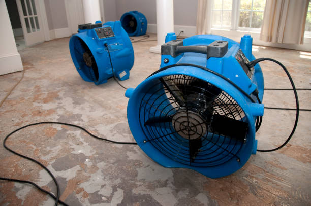 Best Basement water damage restoration  in Golf Manor, OH