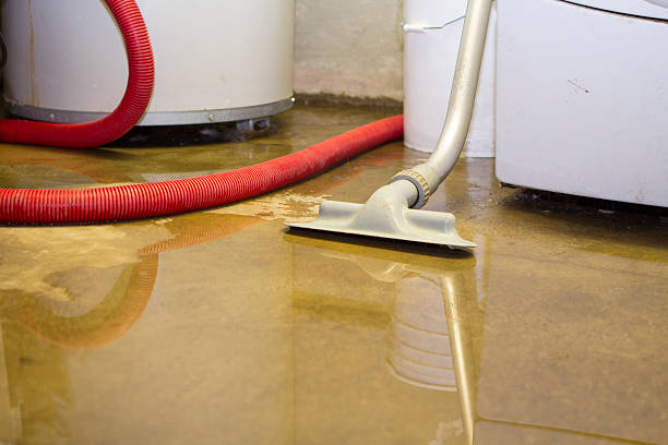 Best Professional water damage repair  in Golf Manor, OH