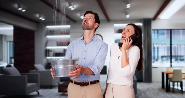 Best Fire Damage Restoration  in Golf Manor, OH